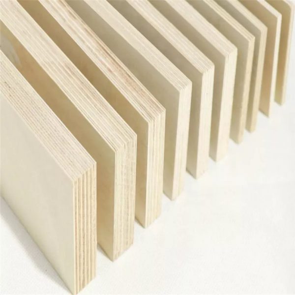 White Birch Plywood - Image 3